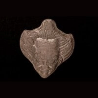 https://www.saferparty.ch/warnungen/pennywise-mdma25647
