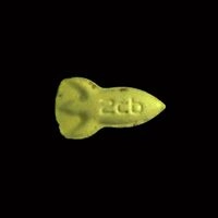 https://www.saferparty.ch/warnungen/nasa-2cb-2c-b-l0318