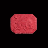 https://www.saferparty.ch/warnungen/red-bull-mdma-040425