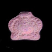 https://energycontrol.org/tabla-de-pastillas/