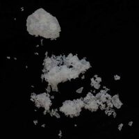 https://drugchecking.berlin/aktuelle-warnungen