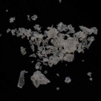 https://drugchecking.berlin/aktuelle-warnungen