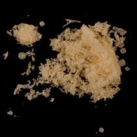 https://drugchecking.berlin/aktuelle-warnungen