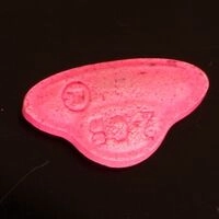 https://drugchecking.berlin/aktuelle-warnungen