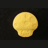 https://www.saferparty.ch/warnungen/pilz-mdma