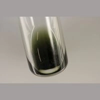 https://www.saferparty.ch/warnungen/psilocin-und-4-aco-dmt-verkauft-als-dmt-25111