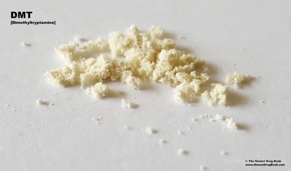 DMT powder