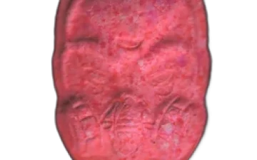 Tabletki Anonymous (Ecstasy / MDMA)