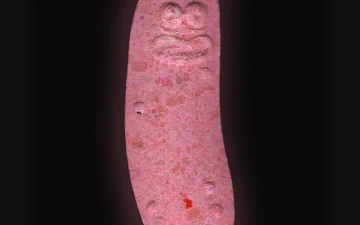 Tabletki Pickle Rick (Ecstasy / MDMA)