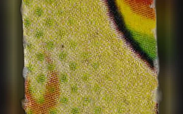 Tabletki SpongeBob (Ecstasy / MDMA)