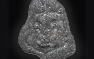 Tabletki Leon (Ecstasy / MDMA)