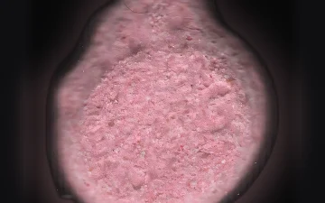 Tabletki Burguer King (Ecstasy / MDMA)