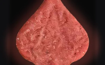 Tabletki Pica (Ecstasy / MDMA)