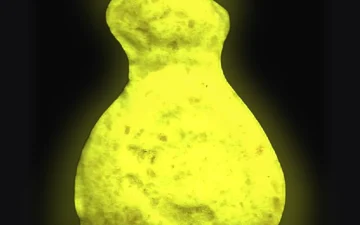 Tabletki Dollar (Ecstasy / MDMA)