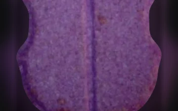 Tabletki FC Barcelona (Ecstasy / MDMA)