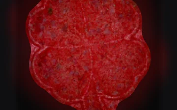 Tabletki Four-Leaf Clover (Ecstasy / MDMA)