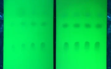 Karty testowe TLC w świetle UV