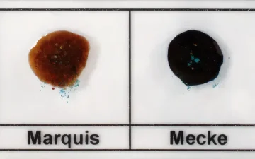 Jak wykryć met/amfetaminę w MDMA?