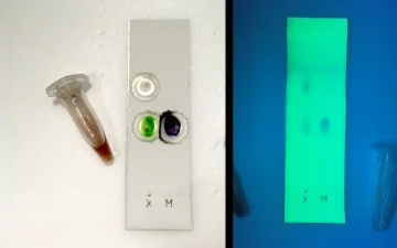 Karta testowa TLC z próbką obok wzorca