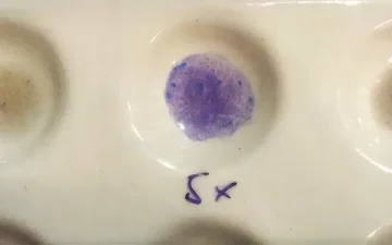 Reakcje testu Morris z ketaminą