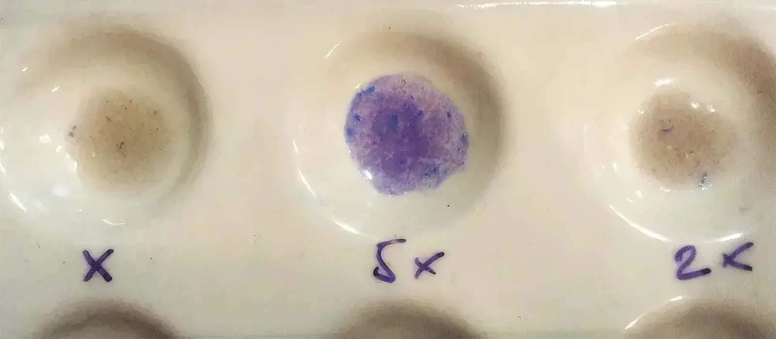 Reakcje testu Morris z ketaminą