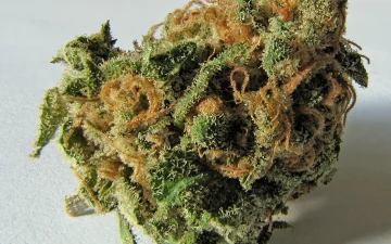 Czym jest THC?