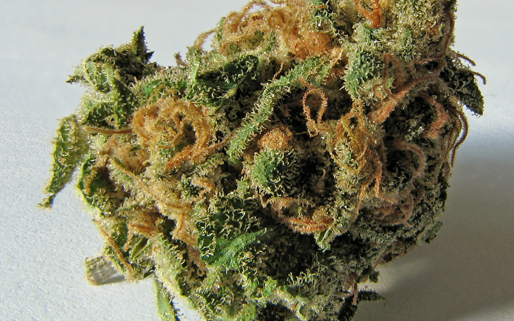 Czym jest THC?