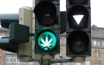 Co jest w produktach konopnych i CBD?