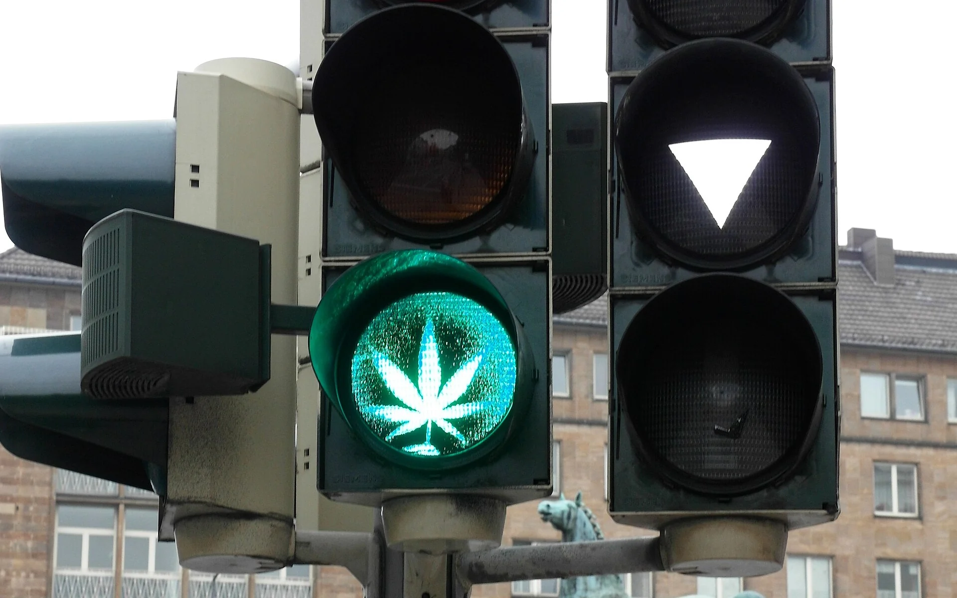 Co jest w produktach konopnych i CBD?