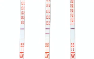 Paski testowe na ksylazynę, fentanyl i nitazeny