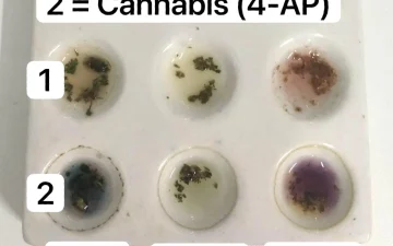 Jakie syntetyczne kannabinoidy są na rynku?