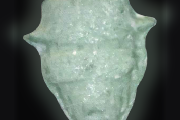 Tabletki Wie Vorderseite (Ecstasy / MDMA)