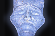 Tabletki Trauriges Gesicht (Ecstasy / MDMA)