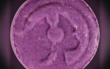 Tabletki Piaggio (Ecstasy / MDMA)