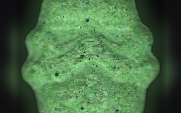 Tabletki Stormtrooper (Ecstasy / MDMA)