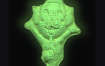Tabletki Deku (2C-B)