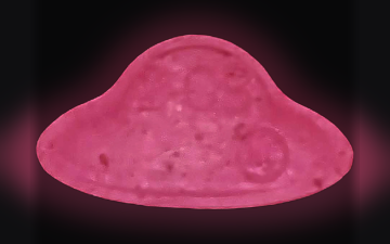 Tabletki UFO (2C-B)
